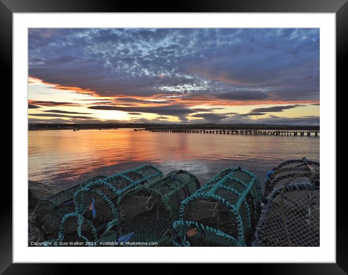 Amble sunset Framed Mounted Print by Sue Walker