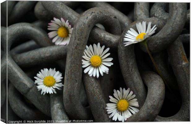 Chained Daisies Canvas Print by Mick Surphlis