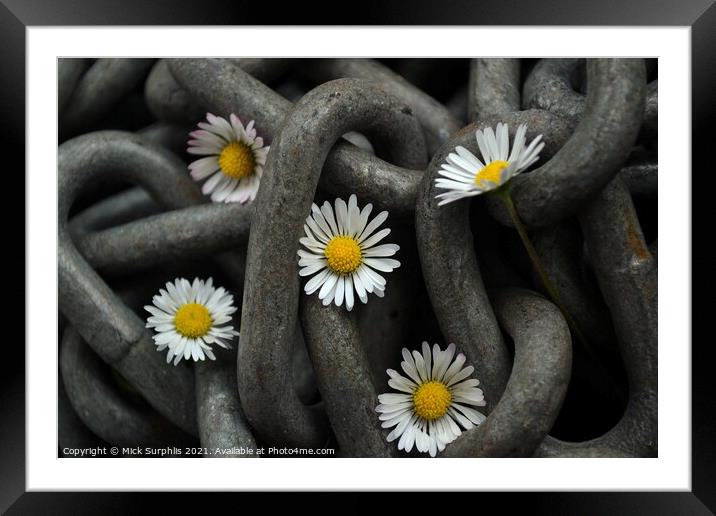 Chained Daisies Framed Mounted Print by Mick Surphlis