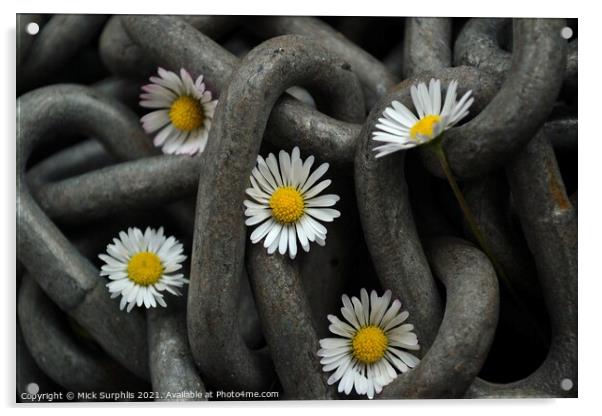 Chained Daisies Acrylic by Mick Surphlis