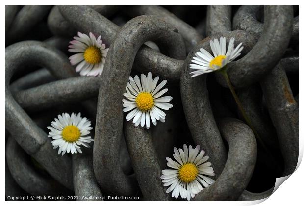 Chained Daisies Print by Mick Surphlis