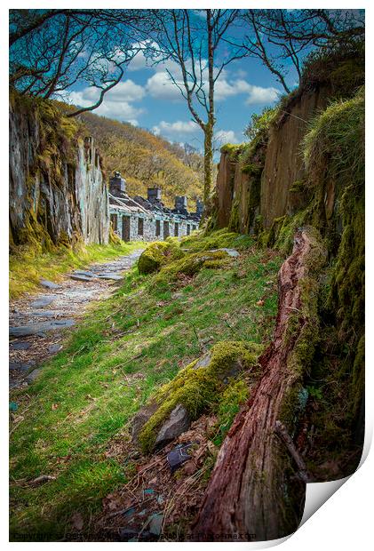 Discover The Ruins of Dinorwic Quarry Print by Darren Wilkes