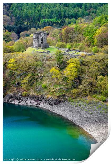 Dolbadarn Castle Llanberis Wales Print by Adrian Evans