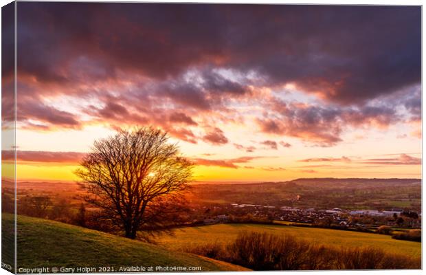 Tree at sunset Canvas Print by Gary Holpin