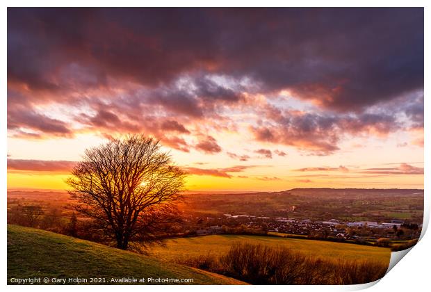 Tree at sunset Print by Gary Holpin