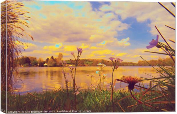Wild flowers around the Cappy lake edited Canvas Print by Ann Biddlecombe