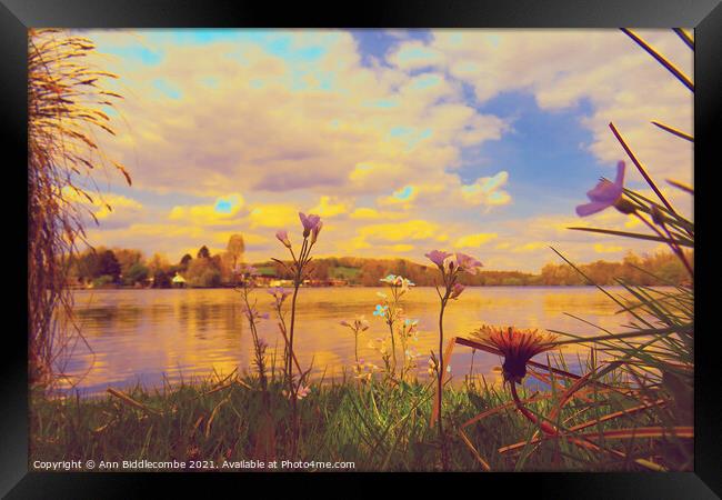 Wild flowers around the Cappy lake edited Framed Print by Ann Biddlecombe