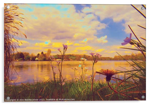 Wild flowers around the Cappy lake edited Acrylic by Ann Biddlecombe
