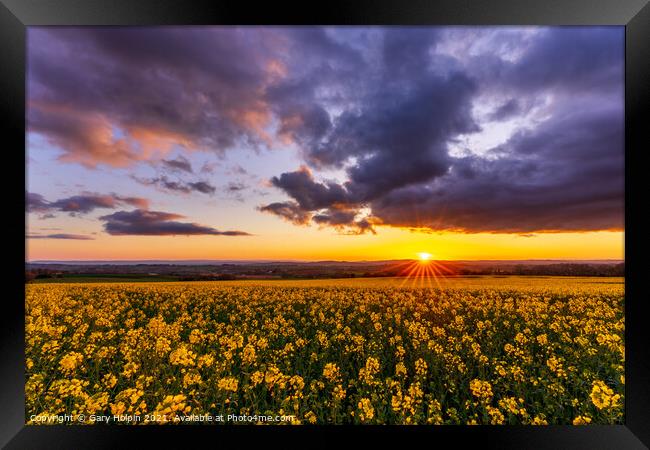 Sunset over a field of rapeseed Framed Print by Gary Holpin