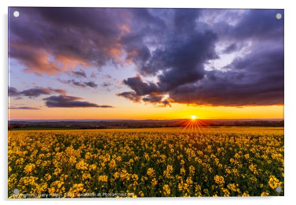 Sunset over a field of rapeseed Acrylic by Gary Holpin
