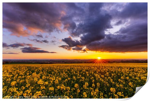 Sunset over a field of rapeseed Print by Gary Holpin