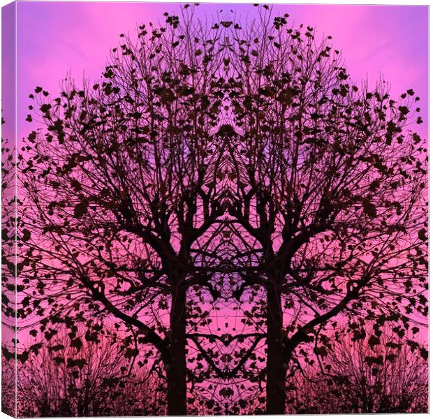 Tree at Sunset in York Canvas Print by June Ross