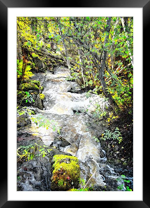 Small Natural Brook in Spring Sunlight Framed Mounted Print by Taina Sohlman
