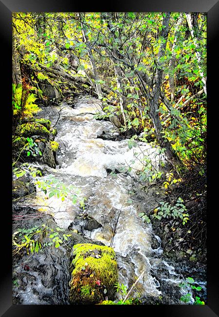 Small Natural Brook in Spring Sunlight Framed Print by Taina Sohlman