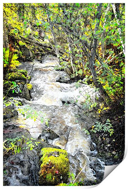 Small Natural Brook in Spring Sunlight Print by Taina Sohlman