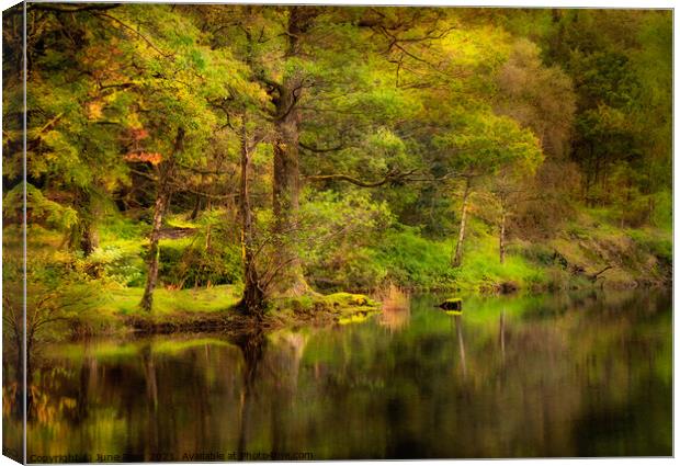 Lake District Waterscape Canvas Print by June Ross