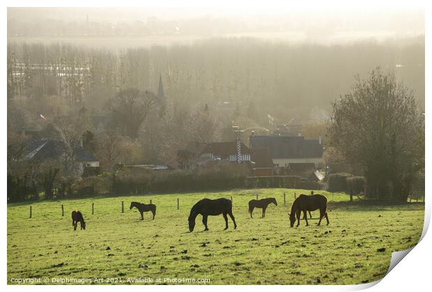 Horses grazing  in a field in winter in Normandy Print by Delphimages Art