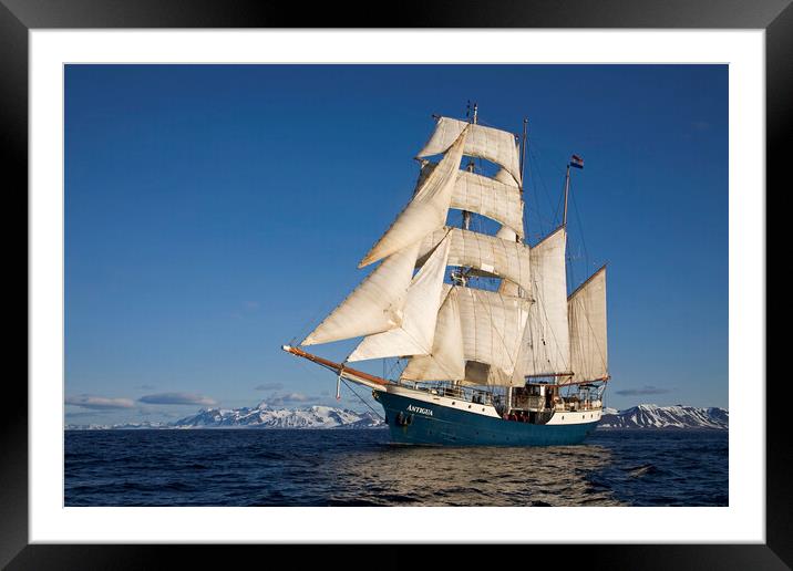Tall Ship Antigua at Svalbard Framed Mounted Print by Arterra 