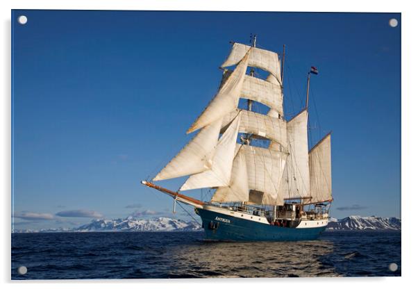 Tall Ship Antigua at Svalbard Acrylic by Arterra 
