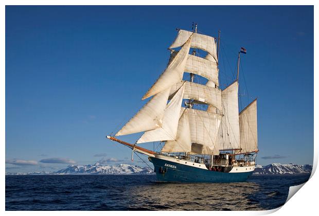 Tall Ship Antigua at Svalbard Print by Arterra 