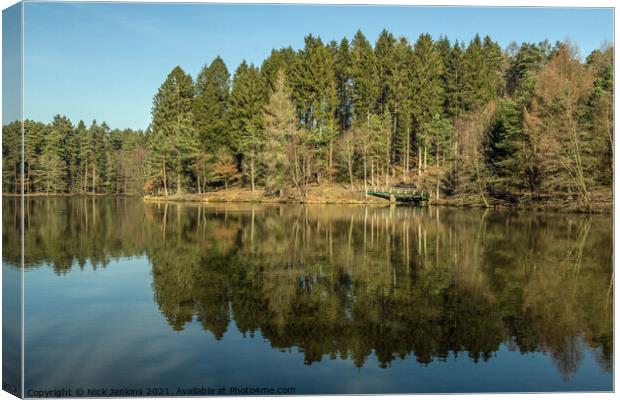 Mallards Pike Pond in the Forest of Dean Glouceste Canvas Print by Nick Jenkins