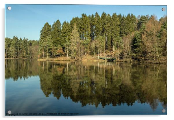 Mallards Pike Pond in the Forest of Dean Glouceste Acrylic by Nick Jenkins