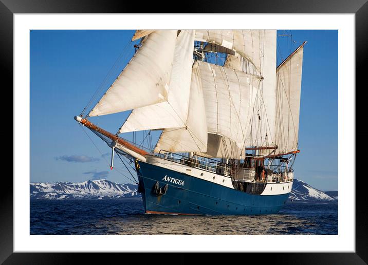 Tall Ship Antigua Framed Mounted Print by Arterra 