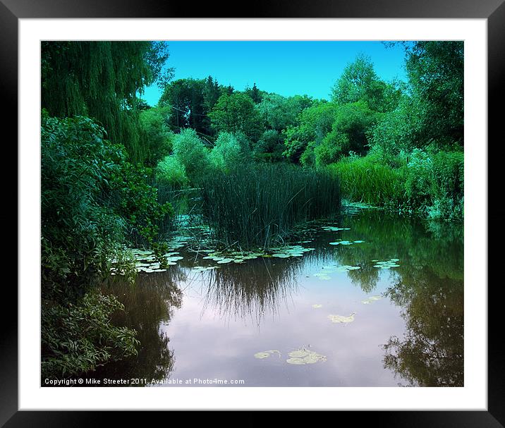 Lily Pond Framed Mounted Print by Mike Streeter