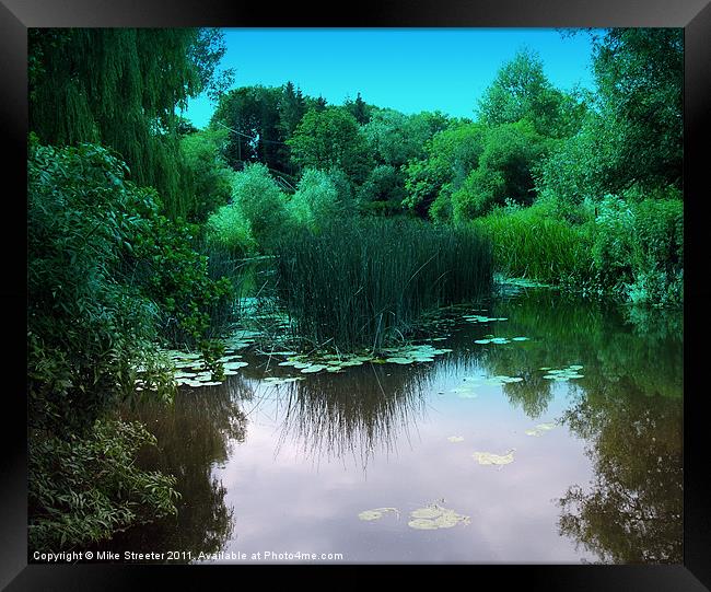 Lily Pond Framed Print by Mike Streeter
