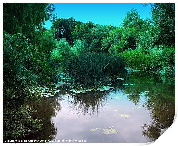 Lily Pond Print by Mike Streeter