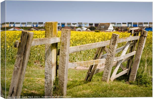 Old fence and Rape Seed fields to the beach huts at Sandilands Lincolnshire Coast Canvas Print by That Foto