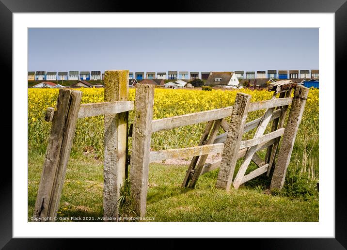 Old fence and Rape Seed fields to the beach huts at Sandilands Lincolnshire Coast Framed Mounted Print by That Foto