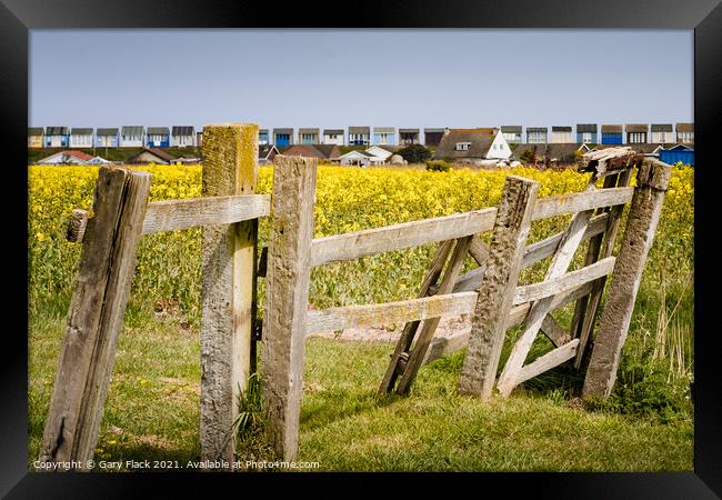 Old fence and Rape Seed fields to the beach huts at Sandilands Lincolnshire Coast Framed Print by That Foto