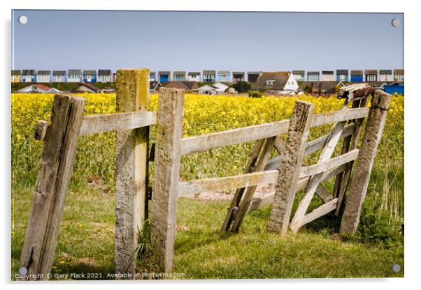 Old fence and Rape Seed fields to the beach huts at Sandilands Lincolnshire Coast Acrylic by That Foto