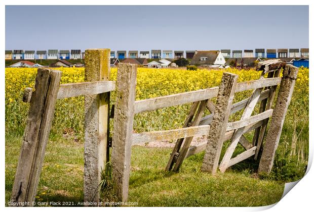 Old fence and Rape Seed fields to the beach huts at Sandilands Lincolnshire Coast Print by That Foto