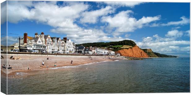 Sidmouth Panorama  Canvas Print by Darren Galpin
