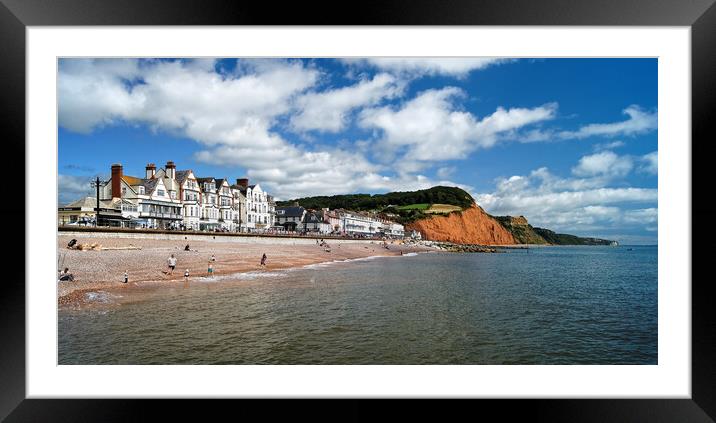 Sidmouth Panorama  Framed Mounted Print by Darren Galpin