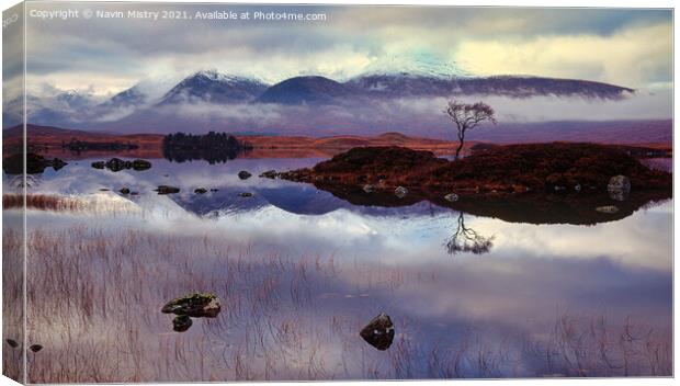 Reflection of lone tree on Rannoch Moor, Scotland Canvas Print by Navin Mistry