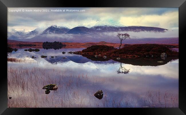 Reflection of lone tree on Rannoch Moor, Scotland Framed Print by Navin Mistry