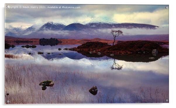 Reflection of lone tree on Rannoch Moor, Scotland Acrylic by Navin Mistry