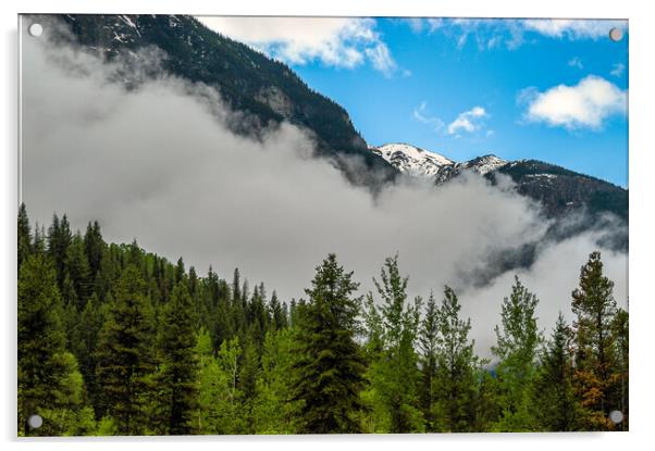 Mount Robson, Canada Acrylic by Mark Llewellyn