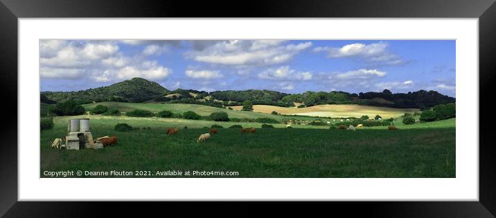 Cattle Grazing Pano in Menorca Spain Framed Mounted Print by Deanne Flouton