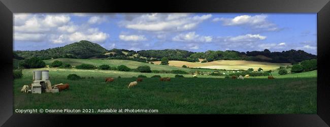 Cattle Grazing Pano in Menorca Spain Framed Print by Deanne Flouton