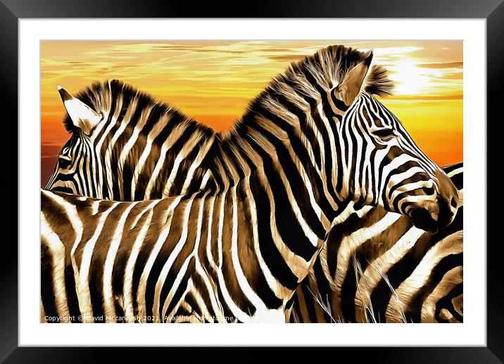 Sentry Duty of the Zebra Framed Mounted Print by David Mccandlish