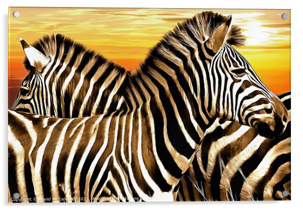Sentry Duty of the Zebra Acrylic by David Mccandlish