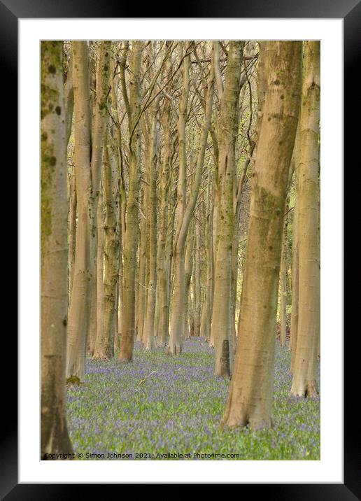 Bluebell Woods Framed Mounted Print by Simon Johnson