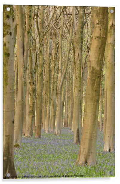 Bluebell Woods Acrylic by Simon Johnson