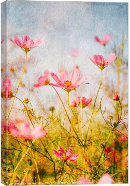 Wildflowers in the meadow Canvas Print by jim Hamilton