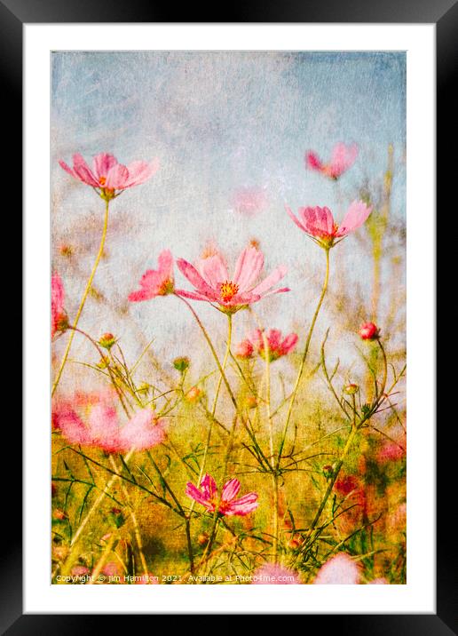 Wildflowers in the meadow Framed Mounted Print by jim Hamilton