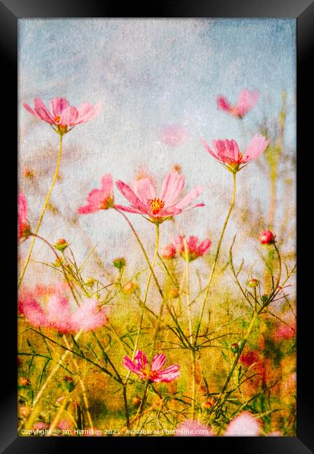 Wildflowers in the meadow Framed Print by jim Hamilton